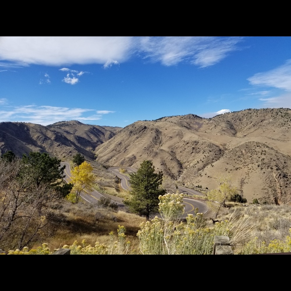 Meet your Posher, Tori